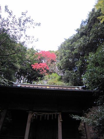 b0104592_189189.jpg