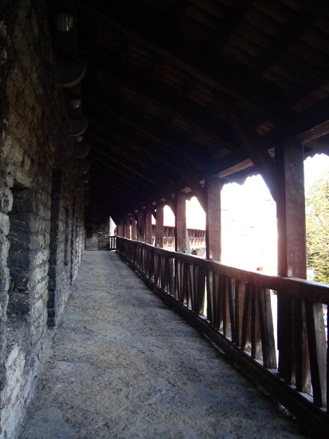 b0204492_222364.jpg