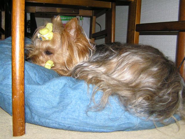 f0130894_21231398.jpg
