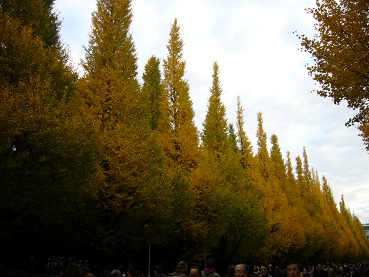 b0119495_1657198.jpg