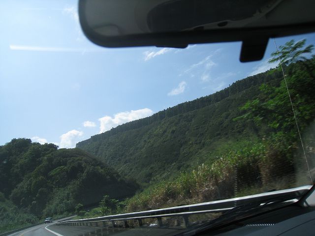 f0174198_1154431.jpg