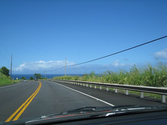f0174198_11555598.jpg