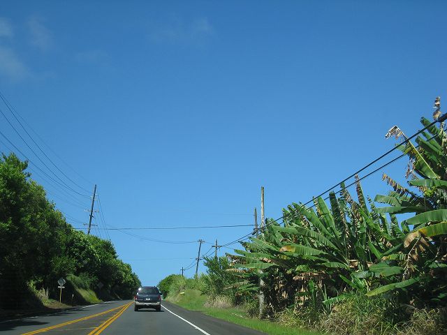 f0174198_11592989.jpg