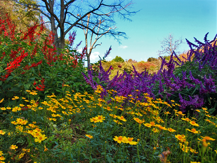 c0177502_21534215.jpg