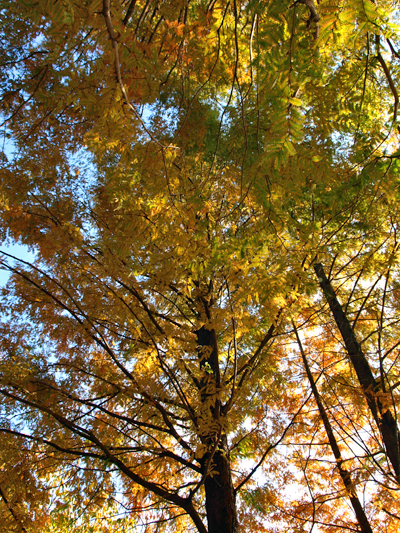 c0177502_21582543.jpg
