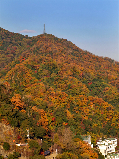 c0177502_2201536.jpg