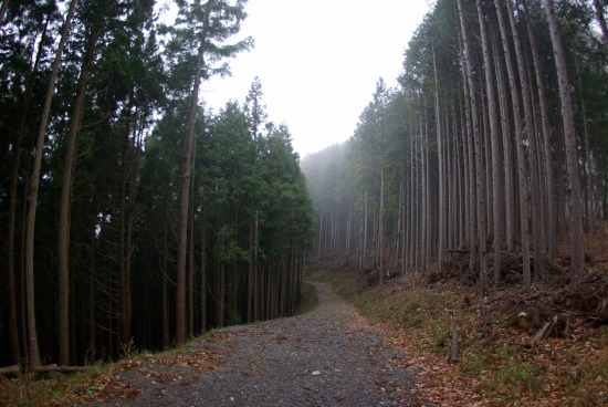 e0183804_530171.jpg