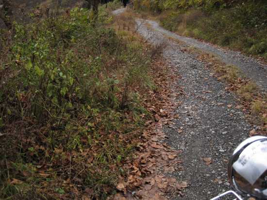 e0183804_531724.jpg