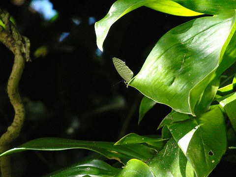 a0117305_2241985.jpg