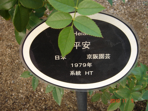 d0154508_8475029.jpg
