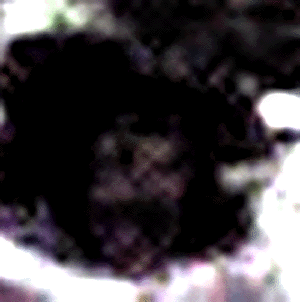 e0103408_0394926.gif