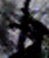 e0103408_0525666.gif