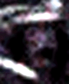 e0103408_0543360.gif
