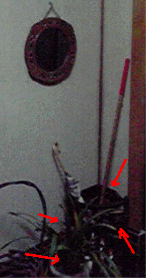 e0103408_0572427.gif