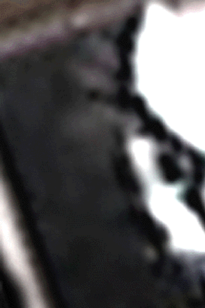 e0103408_1644589.gif