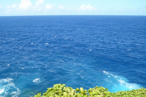 f0221708_17303022.jpg