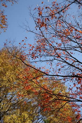 c0082109_23162110.jpg