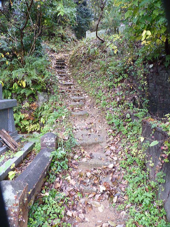 b0023911_21511719.jpg
