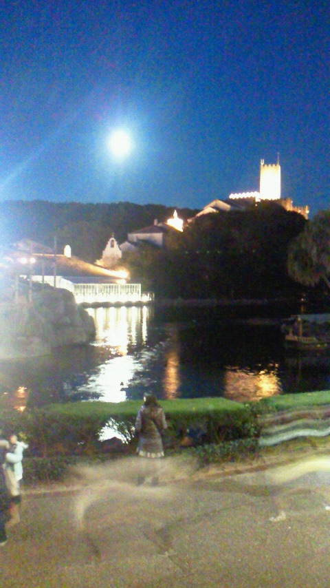 a0165012_10121419.jpg