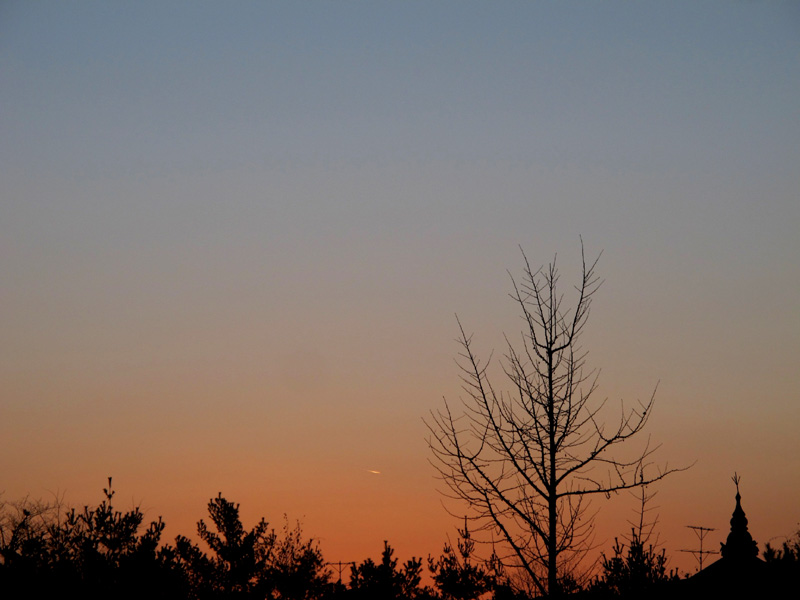 a0101715_87621.jpg