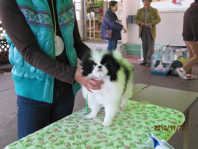c0200916_22464544.jpg