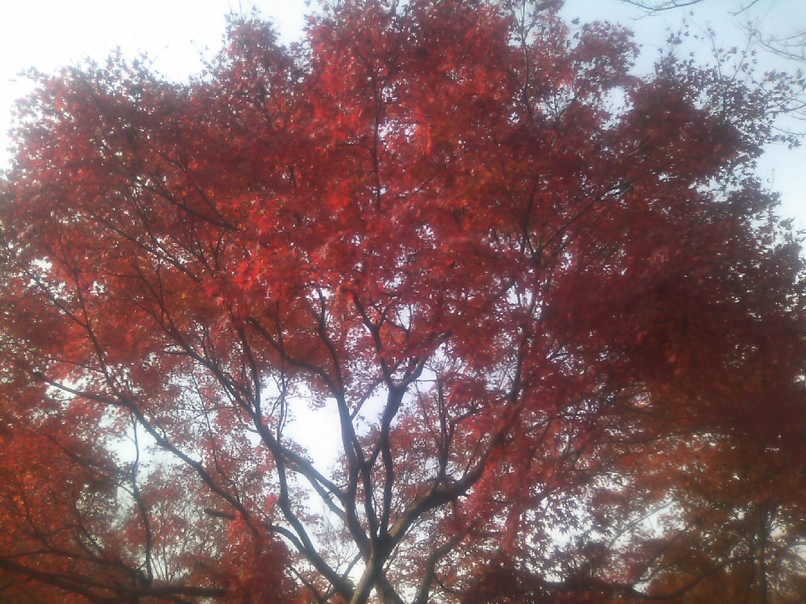 c0210618_23413472.jpg