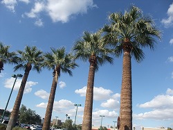 f0037623_1293127.jpg
