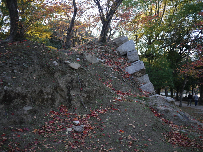 e0206031_2032277.jpg
