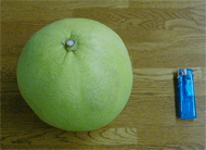 f0034334_17292032.gif