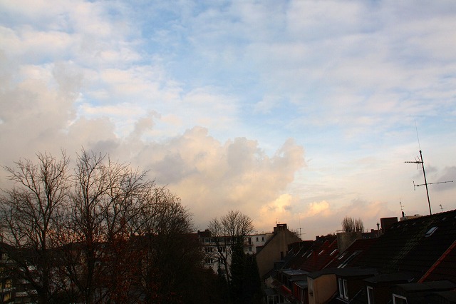 c0153740_435598.jpg