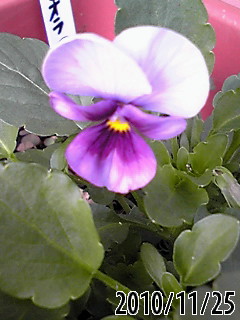 b0200747_18373963.jpg