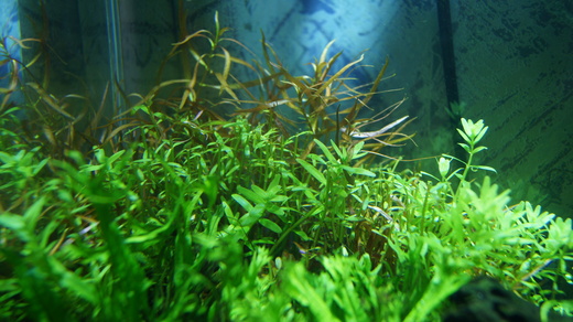 b0202747_032336.jpg