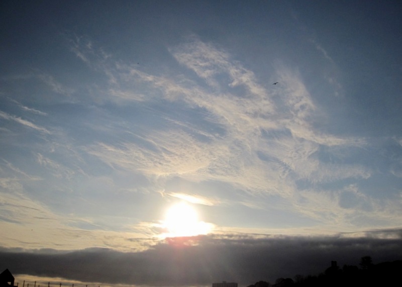 b0173754_1347738.jpg