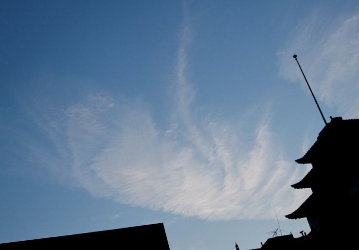 b0173754_1349923.jpg