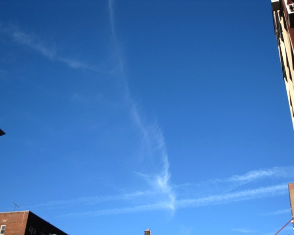 b0173754_1352545.jpg
