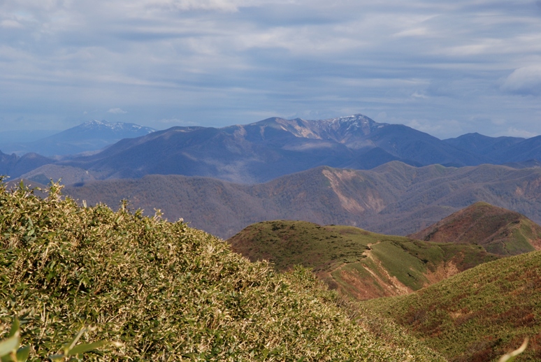 d0169556_1854937.jpg