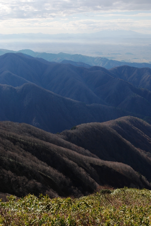 d0169556_1856401.jpg