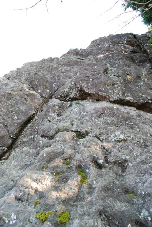 d0169556_19111485.jpg