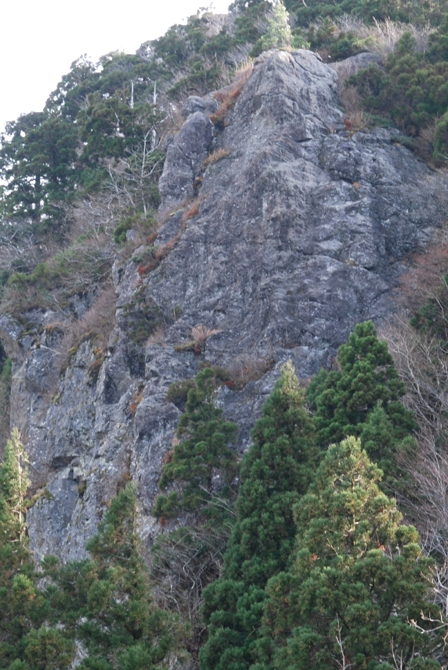 d0169556_1974396.jpg