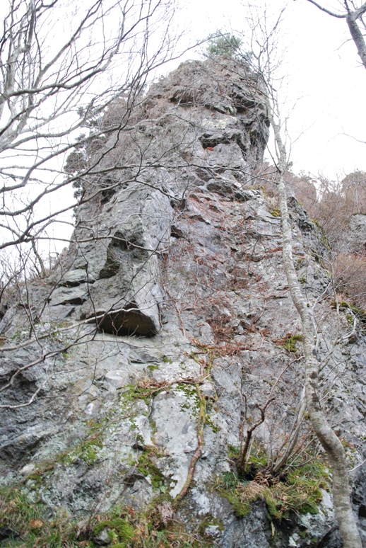 d0169556_1991641.jpg
