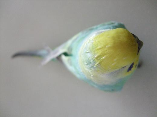 f0149057_206820.jpg