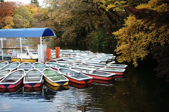 d0164962_8472798.jpg