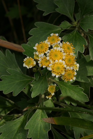 e0054067_0485083.jpg