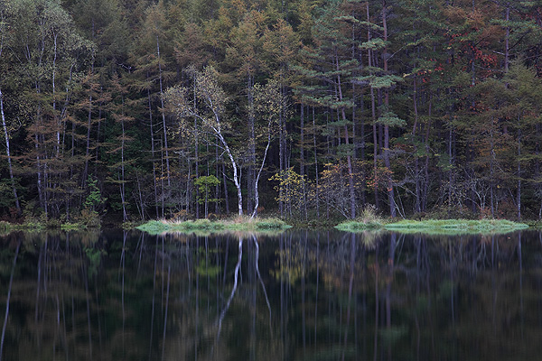 d0179768_8211835.jpg