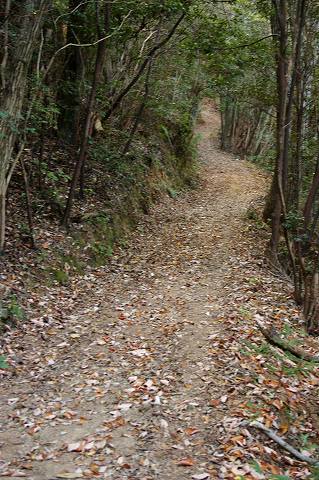 e0045768_21223650.jpg