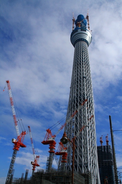 d0126577_20341019.jpg