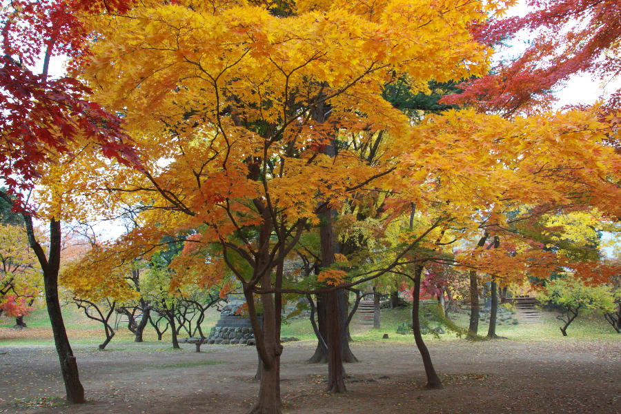 b0083779_23404934.jpg