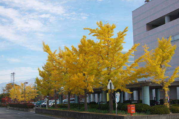b0083779_23474483.jpg