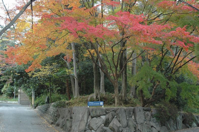 b0042882_1658569.jpg