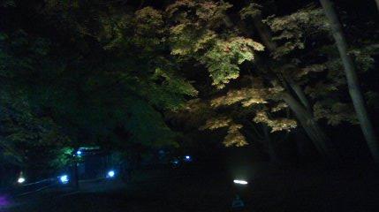d0094986_1939296.jpg